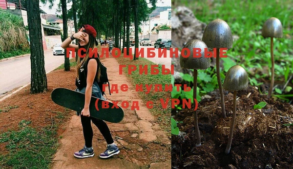 mdpv Гусь-Хрустальный