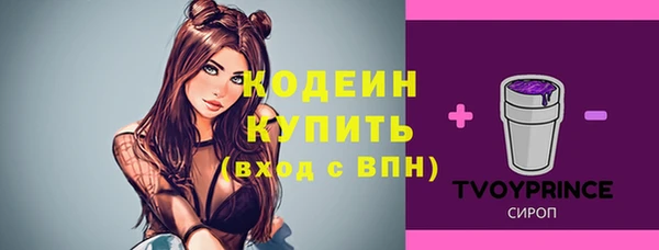 кристаллы Дмитриев