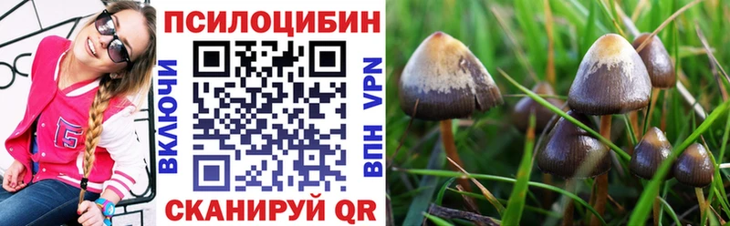 KRAKEN зеркало  Мытищи  Галлюциногенные грибы Psilocybe  цены наркотик 