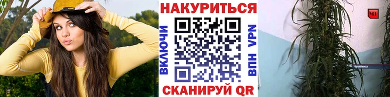сайты даркнета телеграм  продажа наркотиков  Мытищи  Конопля конопля 